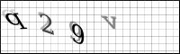 Captcha Bild
